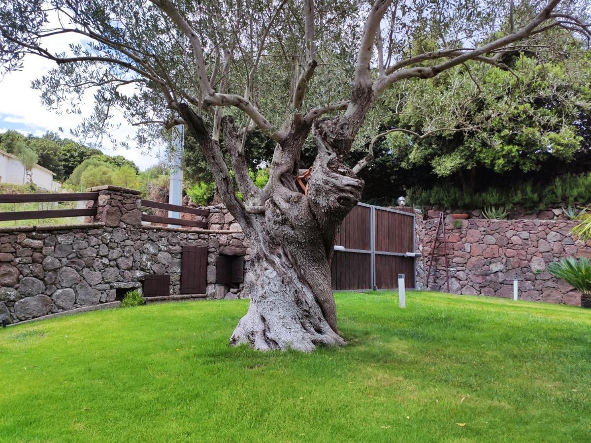 Casa Bados Villa Dorgali Eksteriør bilde