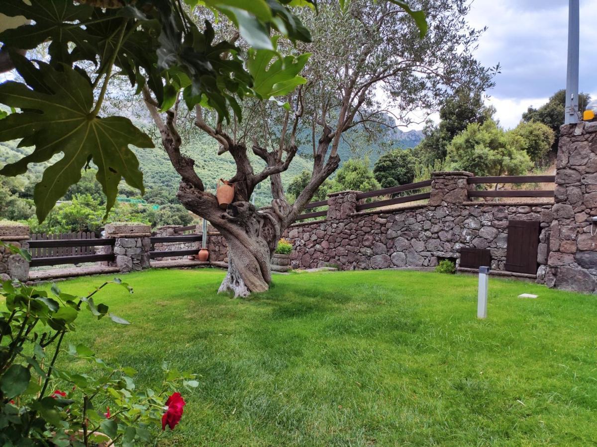 Casa Bados Villa Dorgali Eksteriør bilde