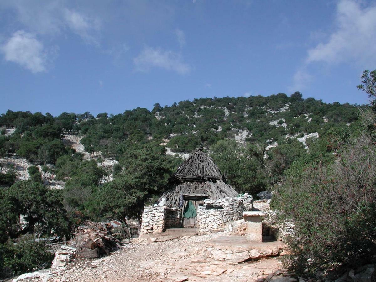 Casa Bados Villa Dorgali Eksteriør bilde